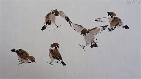 Artist: sparrow (popular) .